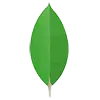 MongoDB